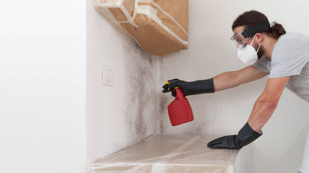 Professional Mold Cleanup technician working in Henderson, NC