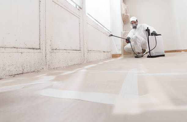 24/7 Emergency Mold Cleanup experts in Henderson, NC