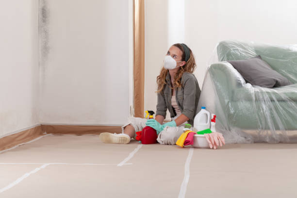 Reliable Mold Cleanup contractor in Henderson, NC by WQB Mold Removal